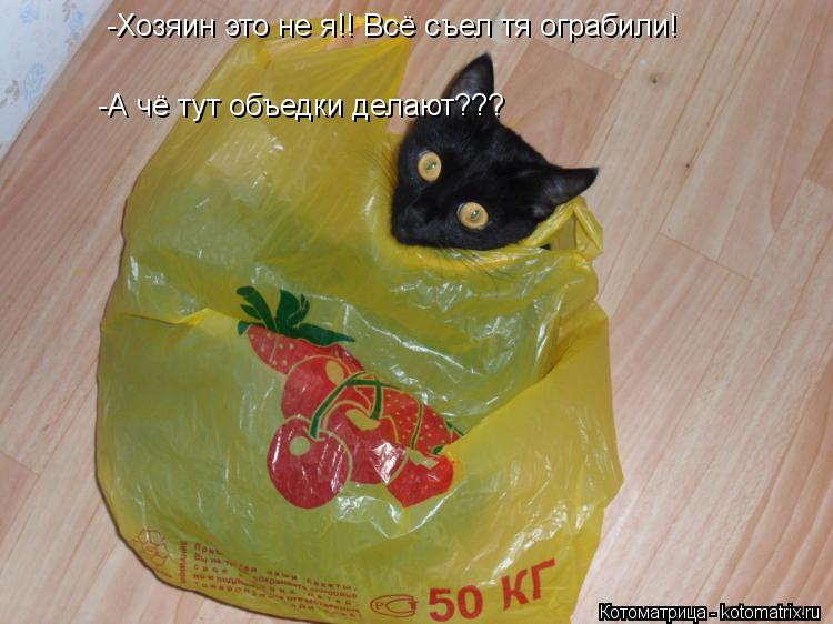 -Хозяин это не я!! Всё съел тя ограбили! -А чё тут объедки делают???... Котоматрица: -Хозяин это не я!! Всё съел тя ограбили! -А чё тут объедки делают???