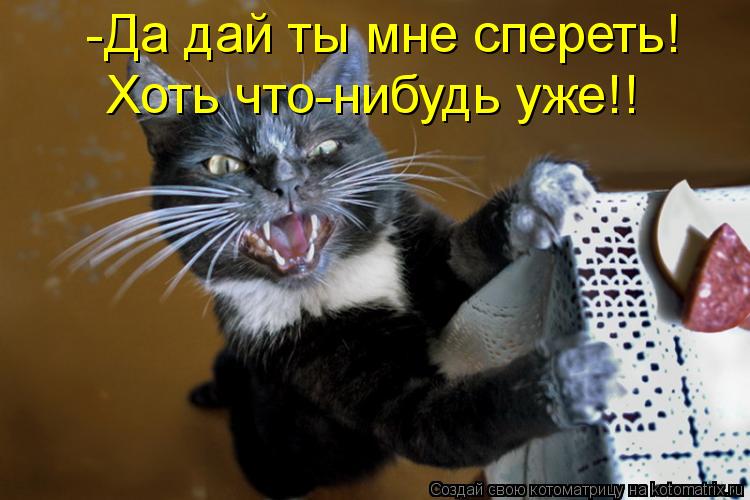 -Да дай ты мне спереть! Хоть что-нибудь уже!!... Котоматрица: -Да дай ты мне спереть! Хоть что-нибудь уже!!
