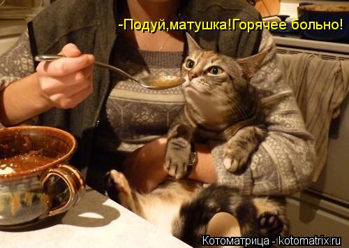 Котоматрица: -Подуй,матушка!Горячее больно!