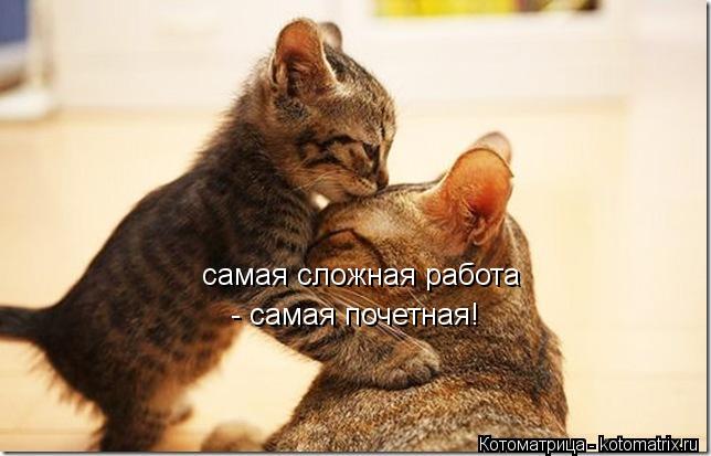 самая сложная работа - самая почетная!... Котоматрица: самая сложная работа - самая почетная!