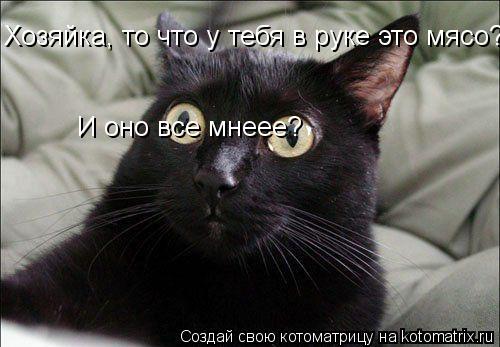 Котоматрица: Хозяйка, то что у тебя в руке это мясо? И оно все мнеее?