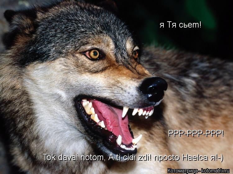 я Tя cьem! PPP-PPP-PPP! Tok davai notom, A ti cidi zdi! npocto Haelca я!-)... Котоматрица: я Tя cьem! PPP-PPP-PPP! Tok davai notom, A ti cidi zdi! npocto Haelca я!-)
