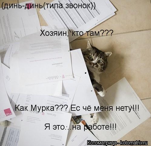 Хозяин, кто там??? (динь-динь(типа звонок)) Как Мурка??? Ес чё меня нету!!! Я это...на работе!!!... Котоматрица: Хозяин, кто там??? (динь-динь(типа звонок)) Как Мурка??? Ес чё меня нету!!! Я это...на работе!!!