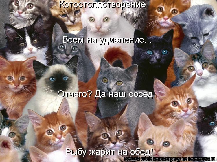 Котостолпотворение Всем на удивление... Отчего? Да наш сосед Рыбу жарит на обед!... Котоматрица: Котостолпотворение Всем на удивление... Отчего? Да наш сосед Рыбу жарит на обед!