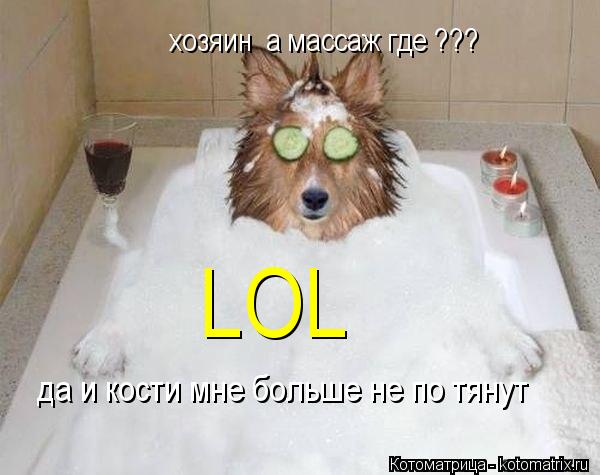 Котоматрица: хозяин  а массаж где ??? да и кости мне больше не по тянут LOL