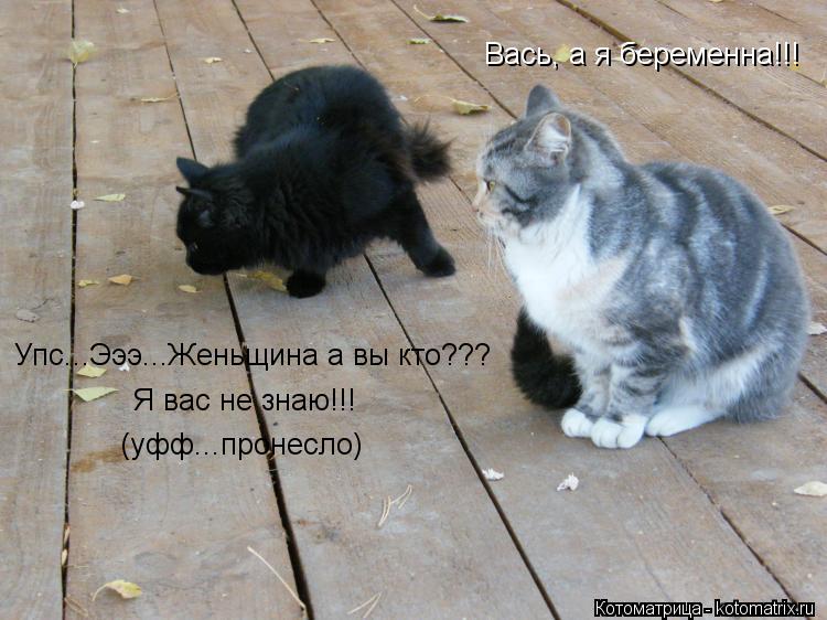 Вась, а я беременна!!! Упс...Эээ...Женьщина а вы кто??? Я вас не знаю!!! (уфф...пронесло)... Котоматрица: Вась, а я беременна!!! Упс...Эээ...Женьщина а вы кто??? Я вас не знаю!!! (уфф...пронесло)