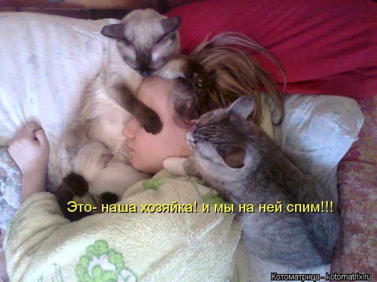 Котоматрица: Это- наша хозяйка! и мы на ней спим!!!