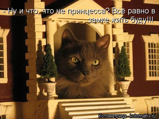 Котоматрица: - Ну и что, что не принцесса? Всё равно в  замке жить буду!!!
