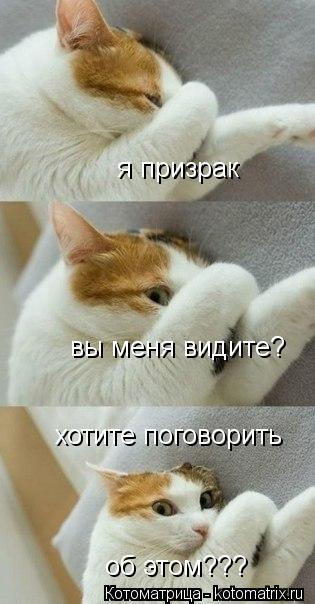 вы меня видите? я призрак хотите поговорить об этом???... Котоматрица: вы меня видите? я призрак хотите поговорить об этом???