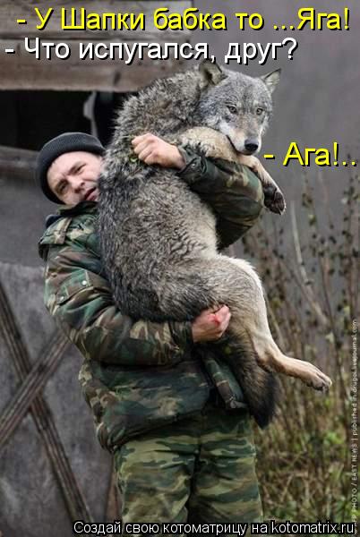 - У Шапки бабка то ...Яга! - Что испугался, друг? - Ага!..... Котоматрица: - У Шапки бабка то ...Яга! - Что испугался, друг? - Ага!..