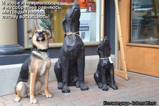 И вовсе я не кривляюсь - я на собратьев равняюсь, мы гордый народ, потому восхищаюсь!... Котоматрица: И вовсе я не кривляюсь - я на собратьев равняюсь, мы гордый народ, потому восхищаюсь!