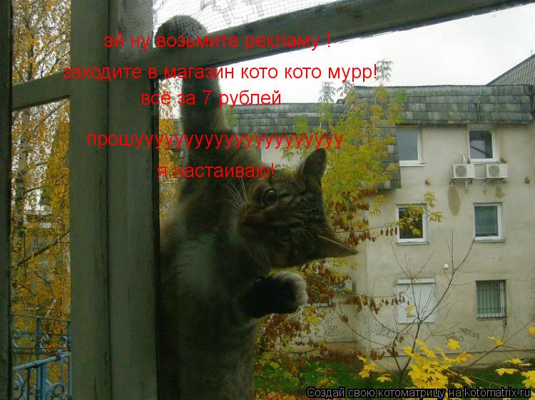 эй ну возьмите рекламу ! заходите в магазин кото кото мурр! всё за 7 рублей прошуууууууууууууууууууу... Котоматрица: эй ну возьмите рекламу ! заходите в магазин кото кото мурр! всё за 7 рублей прошууууууууууууууууууууу я настаиваю!
