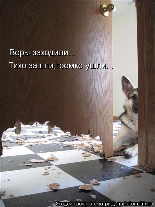 Котоматрица: Воры заходили... Тихо зашли,громко ушли...