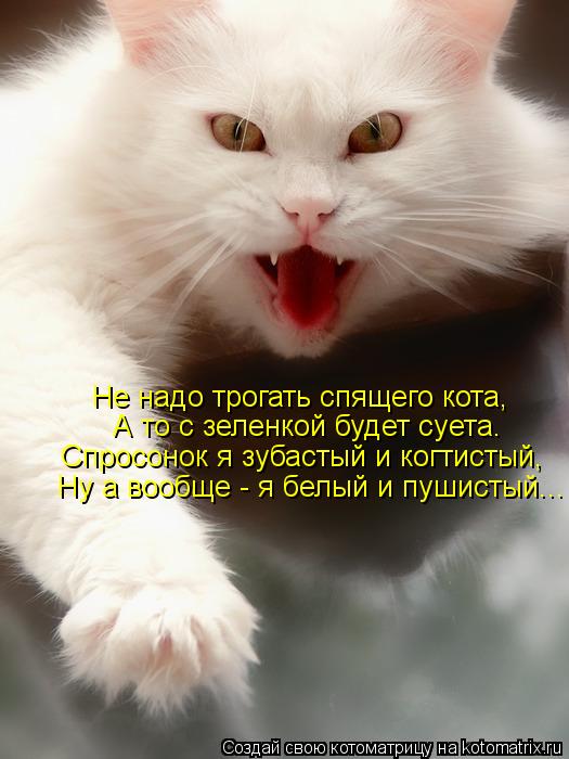 Не надо трогать спящего кота, А то с зеленкой будет суета. Спросонок я зубастый и когтистый, Ну а воо... Котоматрица: Не надо трогать спящего кота, А то с зеленкой будет суета. Спросонок я зубастый и когтистый, Ну а вообще - я белый и пушистый...