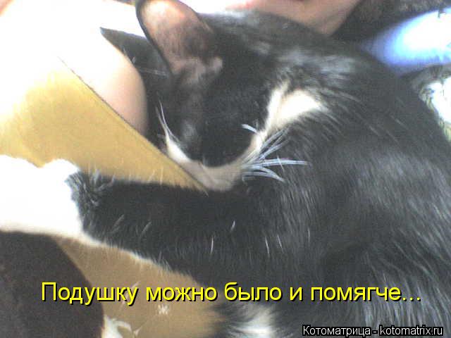 Котоматрица: Подушку можно было и помягче...