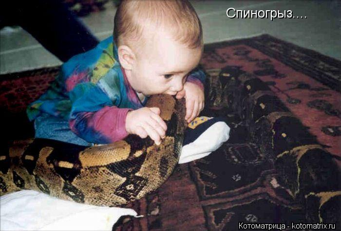 Котоматрица: Спиногрыз....