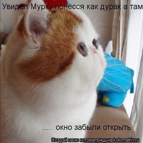 Увидел Мурку понёсся как дурак а там ..... окно забыли открытт ..... окно забыли открыть... Котоматрица: Увидел Мурку понёсся как дурак а там ..... окно забыли открытт ..... окно забыли открыть