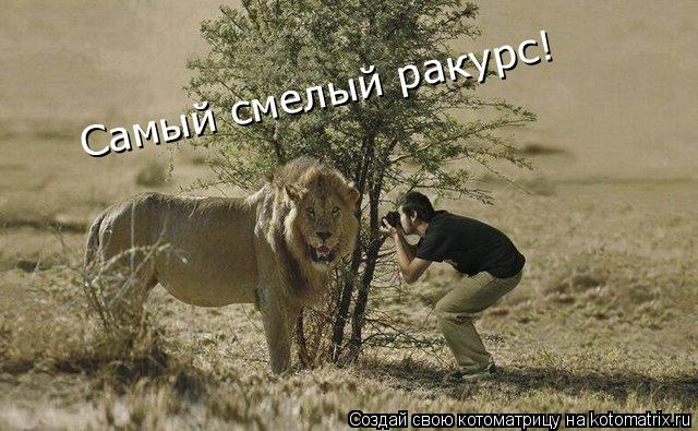Котоматрица: Самый смелый ракурс!