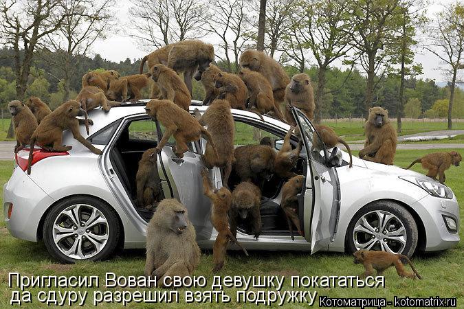 Пригласил Вован свою девушку покататься да сдуру разрешил взять подружку... Котоматрица: Пригласил Вован свою девушку покататься да сдуру разрешил взять подружку