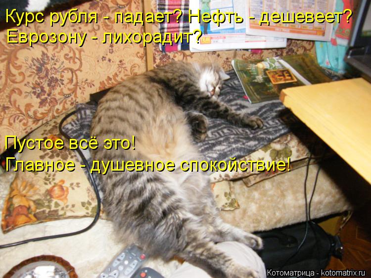 Курс рубля - падает? Нефть - дешевеет? Еврозону - лихорадит? Пустое всё это! Главное - душевное спо... Котоматрица: Курс рубля - падает? Нефть - дешевеет? Еврозону - лихорадит? Пустое всё это! Главное - душевное спокойствие!