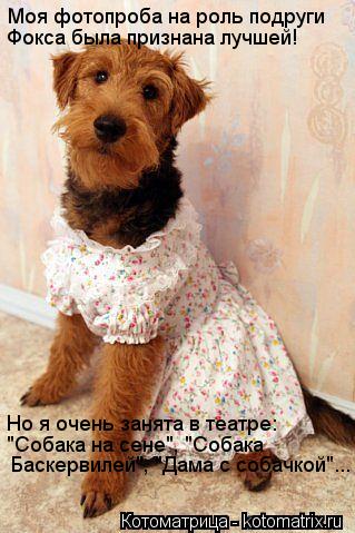 Моя фотопроба на роль подруги Фокса была признана лучшей! Но я очень занята в театре: "Собака на сене... Котоматрица: Моя фотопроба на роль подруги Фокса была признана лучшей! Но я очень занята в театре: "Собака на сене", "Собака Баскервилей", "Дама с собачкой"