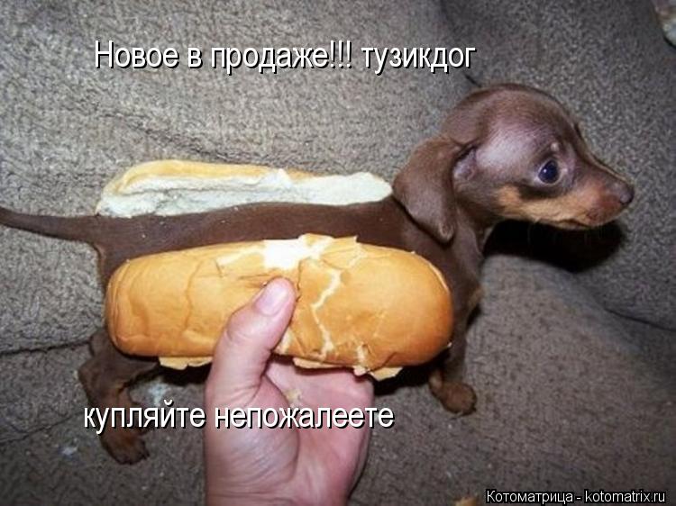 Новое в продаже!!! тузикдог купляйте непожалеете... Котоматрица: Новое в продаже!!! тузикдог купляйте непожалеете