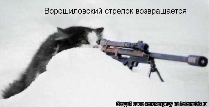 Котоматрица: Ворошиловский стрелок возвращается