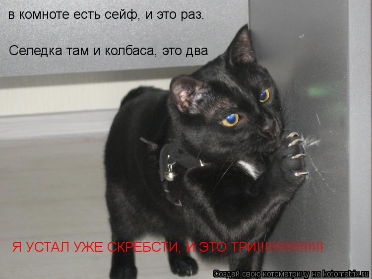 в комноте есть сейф, и это раз. Селедка там и колбаса, это два Я УСТАЛ УЖЕ СКРЕБСТИ, И ЭТО ТРИ!!!!!!!... Котоматрица: в комноте есть сейф, и это раз. Селедка там и колбаса, это два Я УСТАЛ УЖЕ СКРЕБСТИ, И ЭТО ТРИ!!!!!!!!!!!!!!!!!