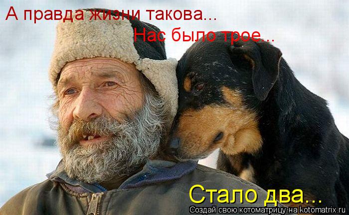 Котоматрица: А правда жизни такова... Нас было трое... Стало два...