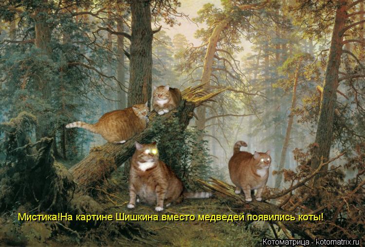 Мистика!На картине Шишкина вместо медведей появились коты!... Котоматрица: Мистика!На картине Шишкина вместо медведей появились коты!