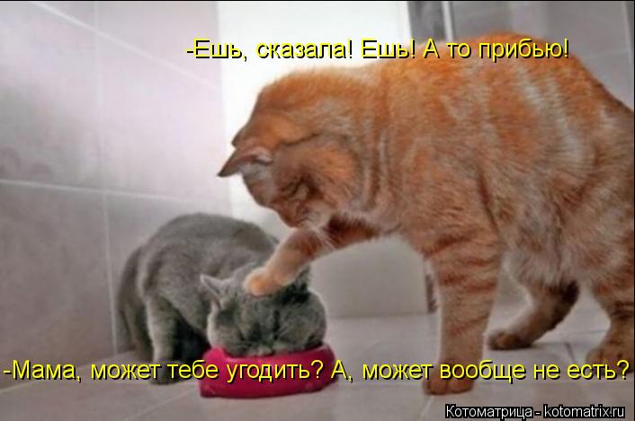 -Ешь, сказала! Ешь! А то прибью! -Мама, может тебе угодить? А, может вообще не есть?... Котоматрица: -Ешь, сказала! Ешь! А то прибью! -Мама, может тебе угодить? А, может вообще не есть?