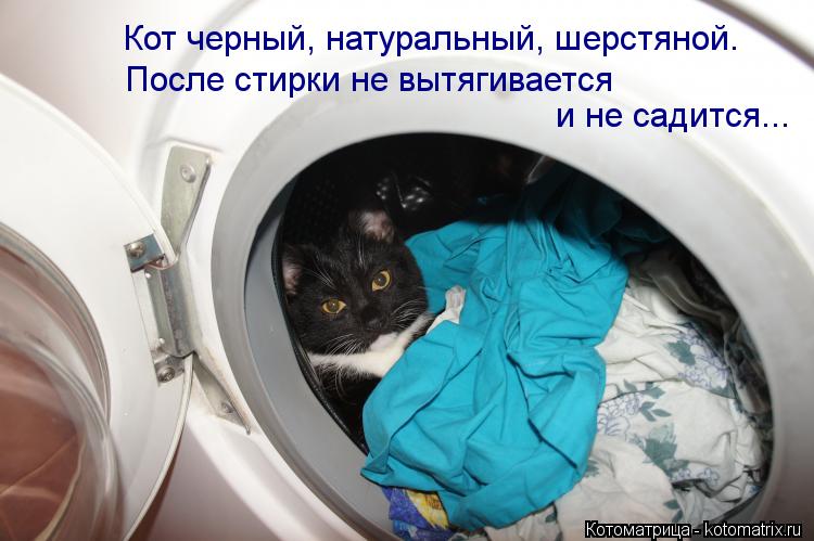 Котоматрица: Кот черный, натуральный, шерстяной.  После стирки не вытягивается  и не садится...