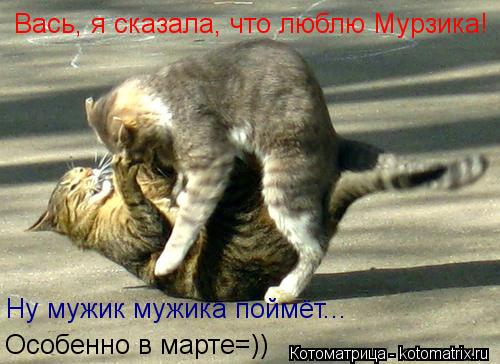 Вась, я сказала, что люблю Мурзика! Ну мужик мужика поймёт... Особенно в марте=))... Котоматрица: Вась, я сказала, что люблю Мурзика! Ну мужик мужика поймёт... Особенно в марте=))