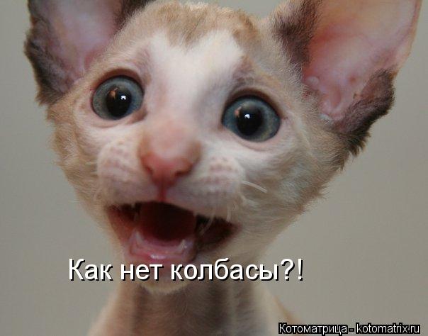 Котоматрица: Как нет колбасы?!