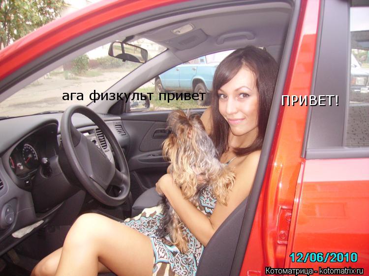 Котоматрица: ПРИВЕТ! ага физкульт привет