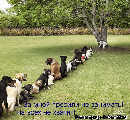 За мной просили не занимать! На всех не хватит!... Котоматрица: За мной просили не занимать! На всех не хватит!