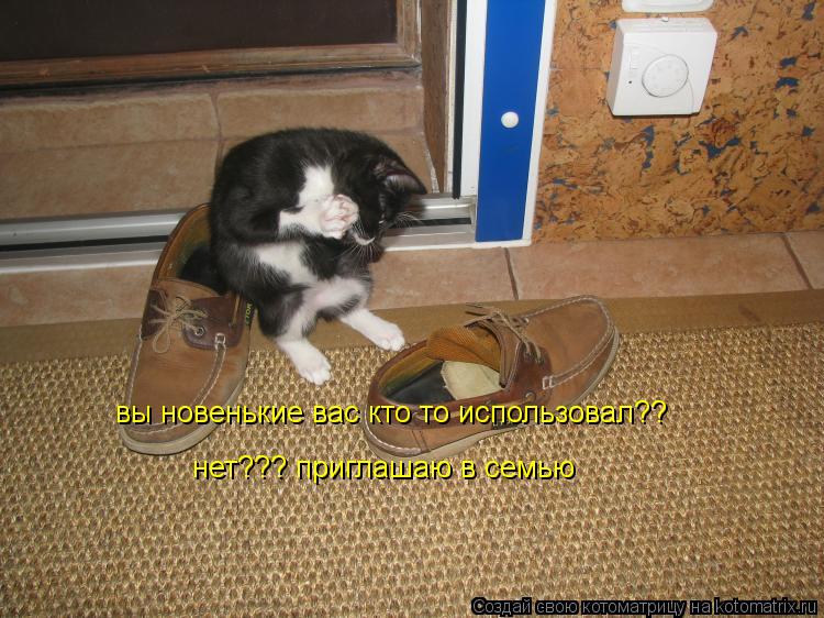 Котоматрица: вы новенькие вас кто то использовал?? нет??? приглашаю в семью