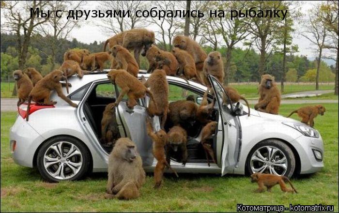 Мы с друзьями собрались на рыбалку... Котоматрица: Мы с друзьями собрались на рыбалку