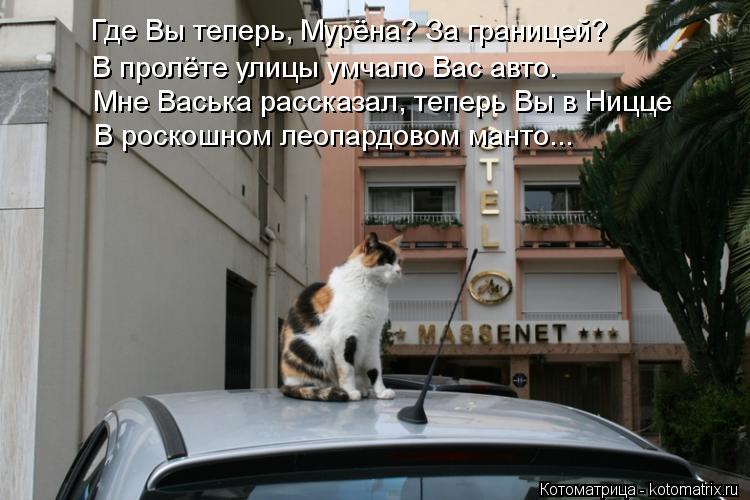 Котоматрица: Где Вы теперь, Мурёна? За границей? В пролёте улицы умчало Вас авто. Мне Васька рассказал, теперь Вы в Ницце В роскошном леопардовом манто...