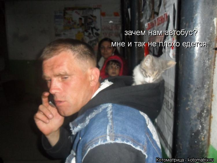 Котоматрица: зачем нам автобус? мне и так не плохо едется