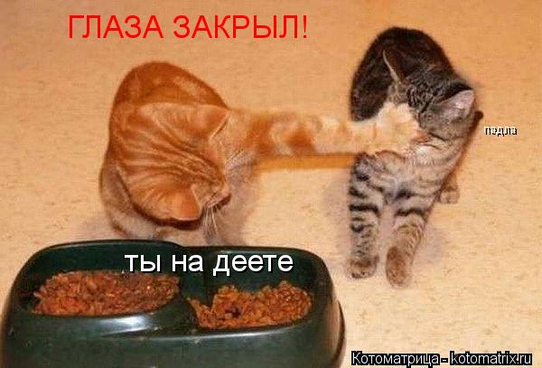 Котоматрица: ГЛАЗА ЗАКРЫЛ! ты на деете падла