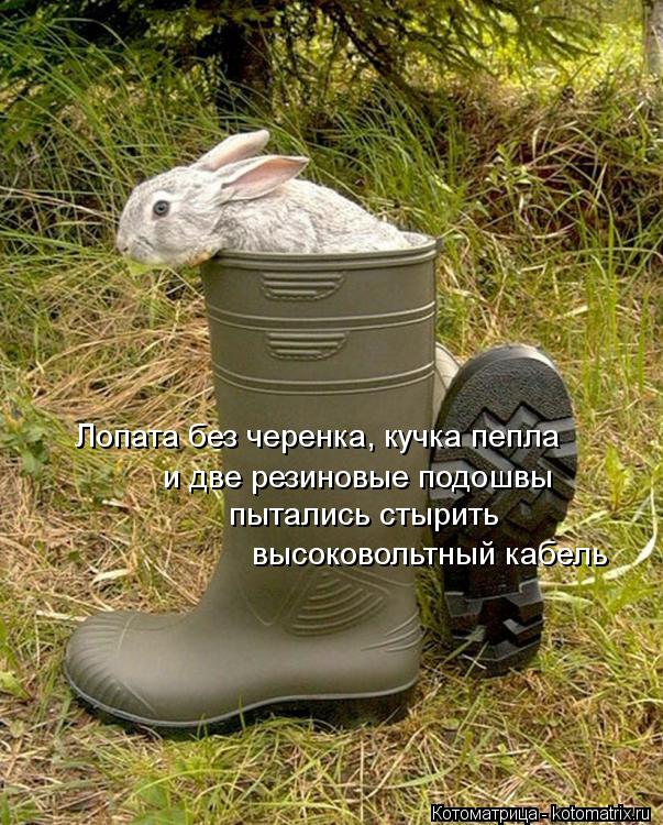 Котоматрица: Лопата без черенка, кучка пепла  и две резиновые подошвы  пытались стырить высоковольтный кабель