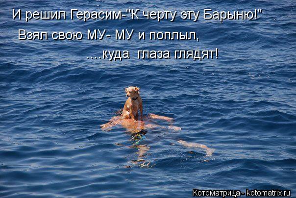 Котоматрица: И решил Герасим-"К черту эту Барыню!" Взял свою МУ- МУ и поплыл, ....куда  глаза глядят!