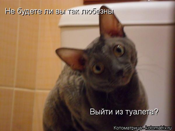 Котоматрица: Не будете ли вы так любезны Выйти из туалета?