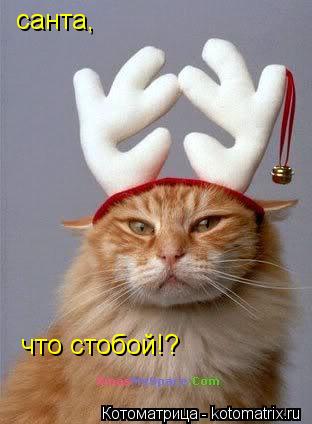 Котоматрица: санта, что стобой!?