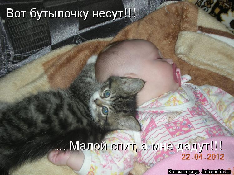 Котоматрица: Вот бутылочку несут!!! ... Малой спит, а мне дадут!!!