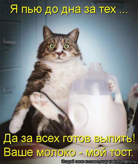 Котоматрица: Я пью до дна за тех ... Да за всех готов выпить! Ваше молоко - мой тост.
