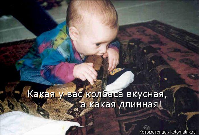 Котоматрица: Какая у вас колбаса вкусная, а какая длинная!