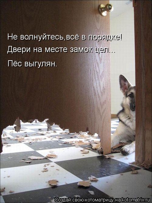 Не волнуйтесь,всё в порядке! Двери на месте замок цел... Пёс выгулян.... Котоматрица: Не волнуйтесь,всё в порядке! Двери на месте замок цел... Пёс выгулян.
