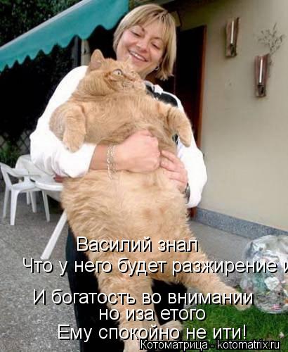 Котоматрица: Василий знал  Что у него будет разжирение и богатость И богатость во внимании но иза етого  Ему спокойно не ити!